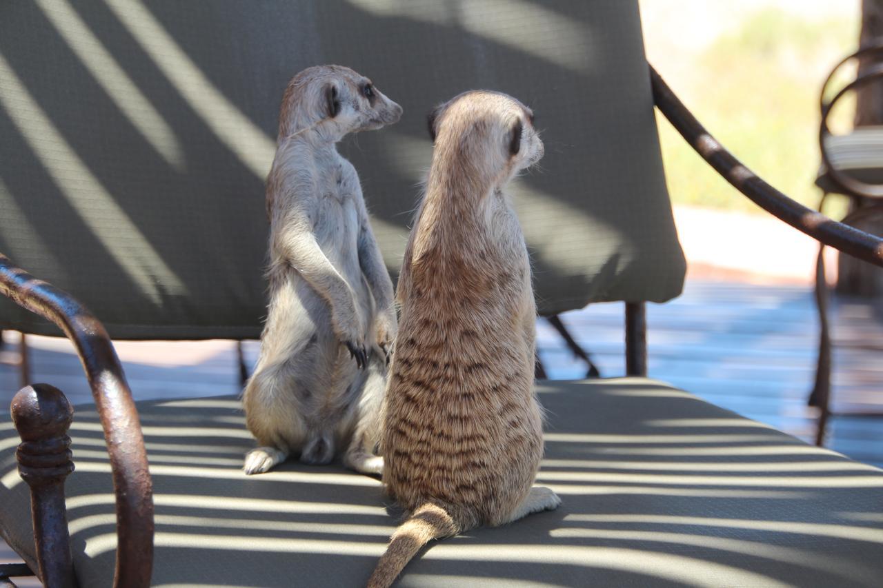 Kalahari Red Dunes Lodge Kalkrand Zewnętrze zdjęcie