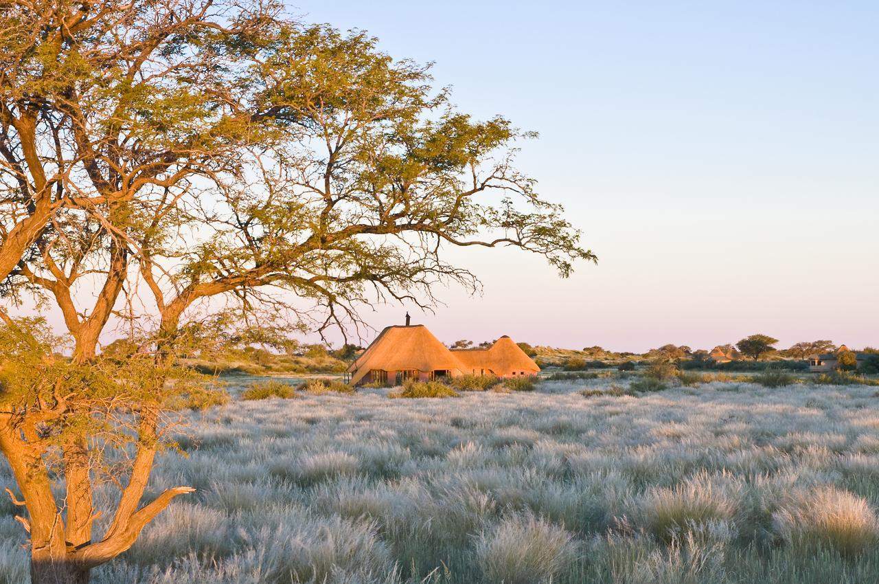 Kalahari Red Dunes Lodge Kalkrand Zewnętrze zdjęcie